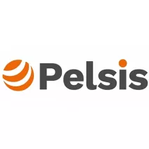Pelsis