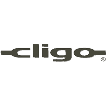 Cligo