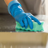 PurActive uniwersalna gąbka