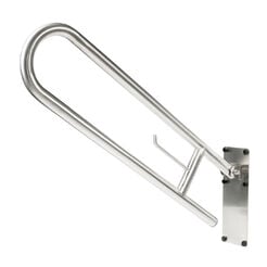 Tilt handle for disabled persons with toilet paper holder Faneco ⌀ 32 mm, 60 cm, matte stainless steel