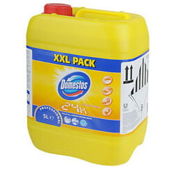 Domestos Professional Citrus Fresh 5 litros