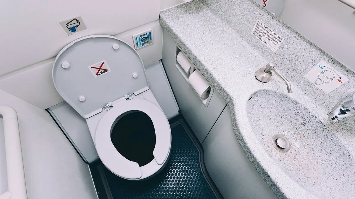 Toaleta samolotowa