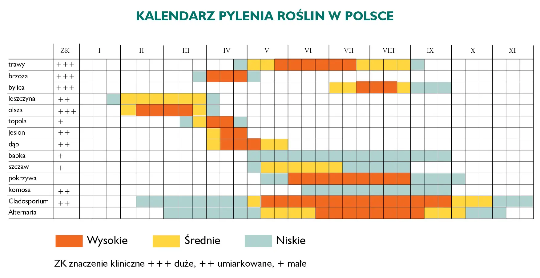 Kalendarz pylenia - infografika