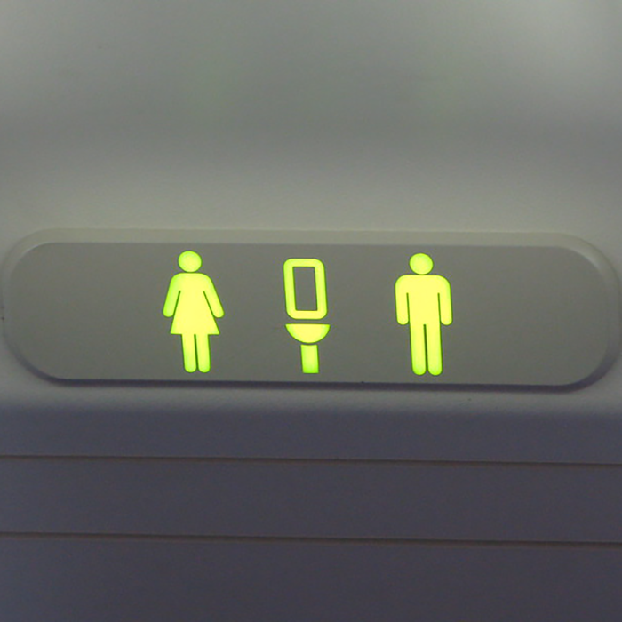 How does the toilet on the plane work meaning what happens when you