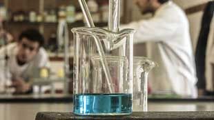 Čím se můžete nakazit na veřejné toaletě? | Blog Ole.pl