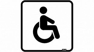 Types of grab bars for disabled