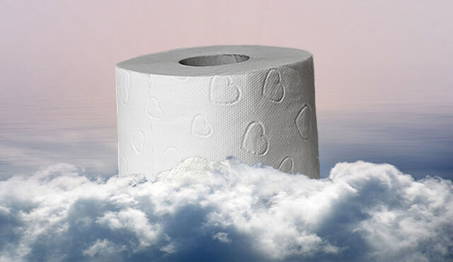 Big deal about big toilet paper