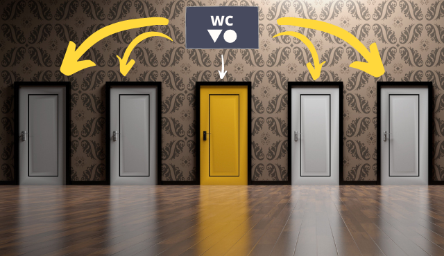 Why do foreigners get lost in polish toilets?