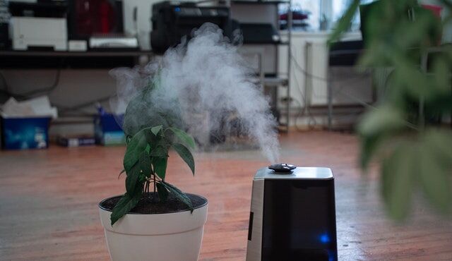 Air purifier - is it worth investing in?