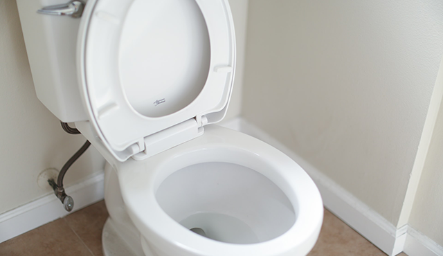 How often and how should we clean the toilet bowl?