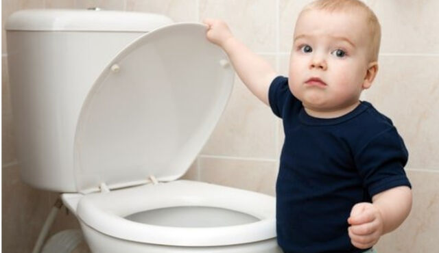 Toilet or toilet seat cover - what to choose for a child
