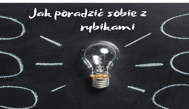Jak se zbavit rybek z koupelny, 5 účinných způsobů