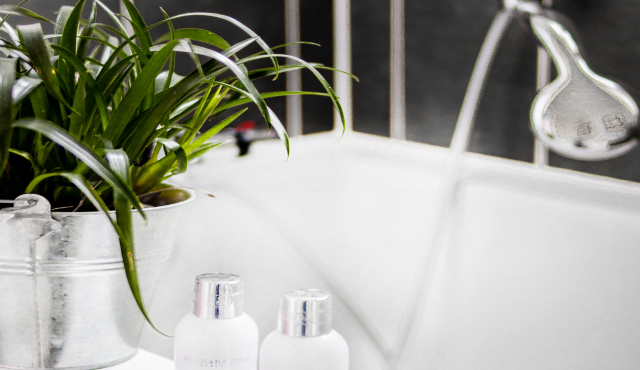 4 best types of plants for a windowless bathroom