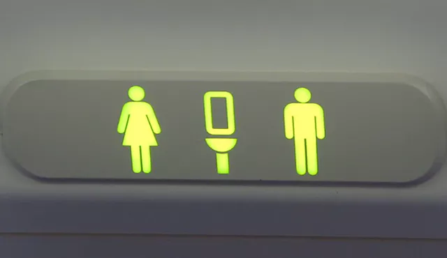 ¿Cómo funciona el baño en el avión - es decir, ¿qué sucede cuando tiras de la cadena?