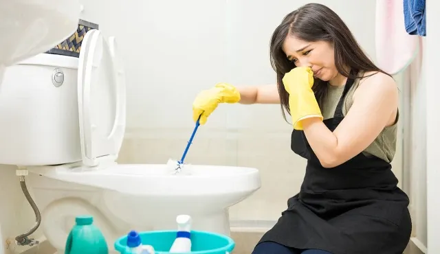 How to get rid of the ugly and unpleasant smell from the toilet? Practical tips