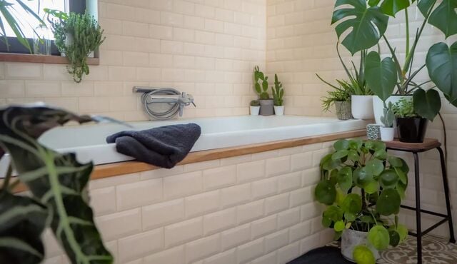 Plantas en macetas en el baño.
