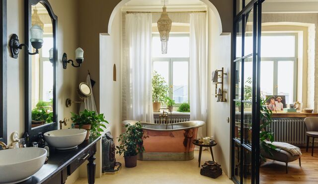 Rastliny do kúpeľne bez okna - Pozrite si návrhy!