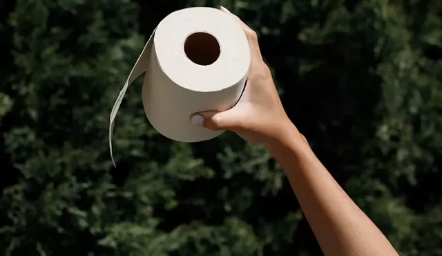 Papier toaletowy bez drzew? Poznaj innowacje zmieniające branżę higieniczną