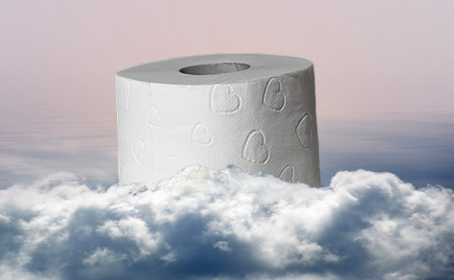 W stanach Zjednoczonych zapanowała moda na kolosalne rolki papieru toaletowego