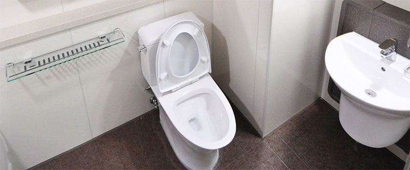 Warum man die Toilettensitzbrille vor dem Spülen verlassen sollte